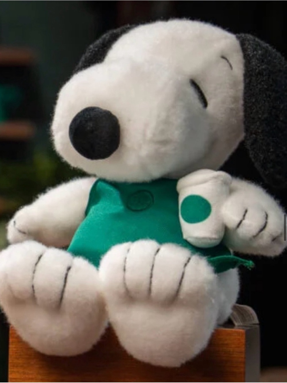 Starbucks White & Green Snoopy Plush Dog Toy
